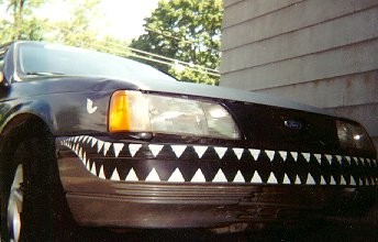 close up shot of teeth on front bumper