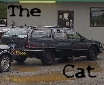 The Cat